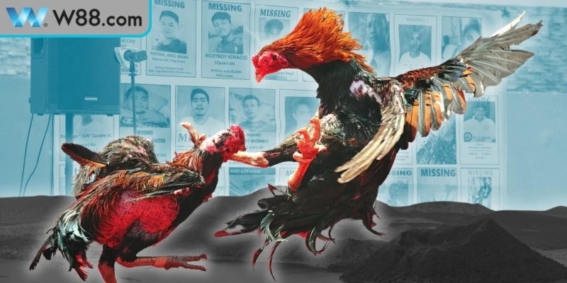 Hướng dẫn cách tham gia đá gà Mộc Bài