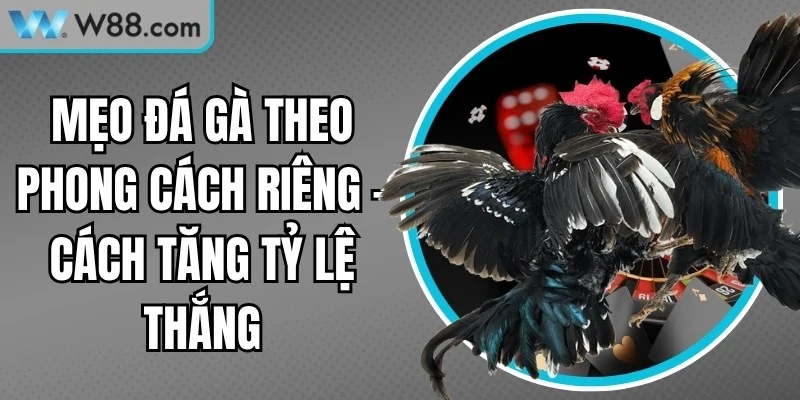 Mẹo Đá Gà Theo Phong Cách Riêng